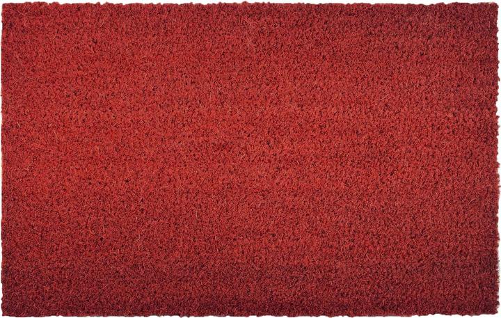 Karat Kokosmatte (100 x 300 cm)
