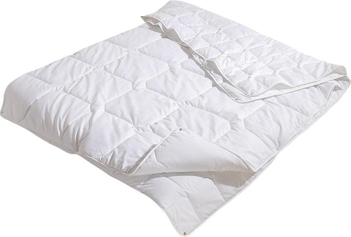 Actual product image Traumschlaf Thinsulate 4 seasons (210 g, 135 x 200 cm)