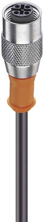 Actual product image Belden M12 Fem Droit Pur
