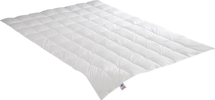 Produktbild Irisette Daunensteppbett Edda leicht (270 g, 155 x 200 cm)