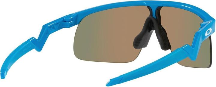 Actual product image Oakley Resistor (Blue, prizm ruby)