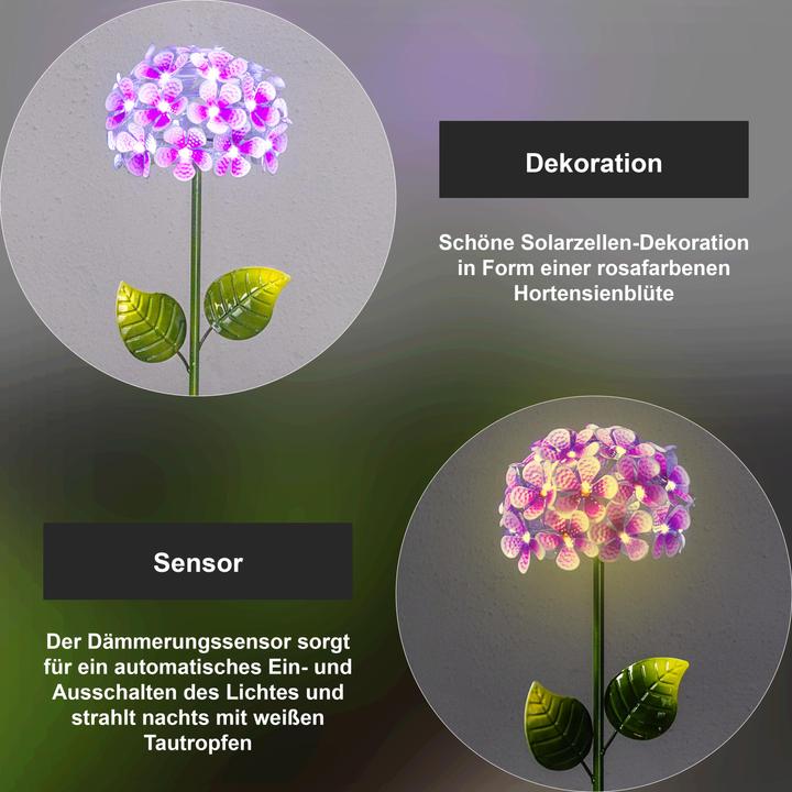 Image du produit Star Trading Hortensia (IP44)