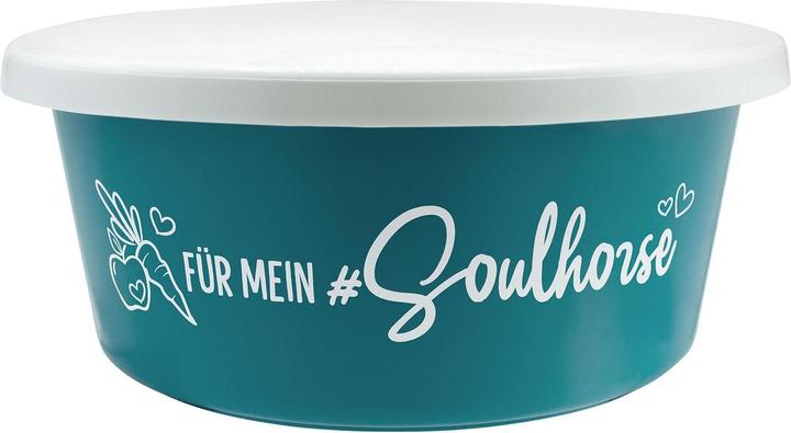 Soulhorse Mangeoire Pour mon