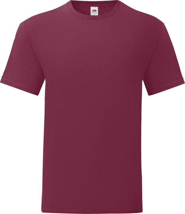 Fruit of the Loom Iconic TShirt (3XL)