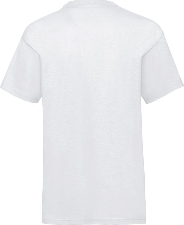 Actual product image Rick And Morty Tshirt (L)
