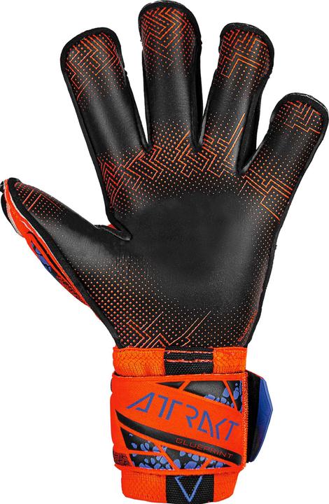 Produktbild Reusch Torwarthandschuh Attrakt Gold X - 9 (9)