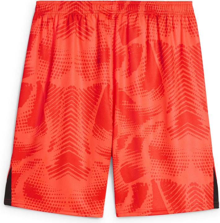 Actual product image Puma FCSP GK Shorts (L)