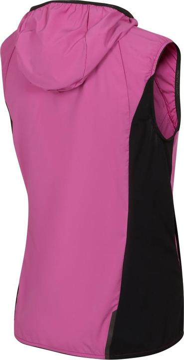 Actual product image Directalpine Element Lady 1.0, Weste, Damen (Athletic Fit) - Direct Alpine, 300 (XXL)