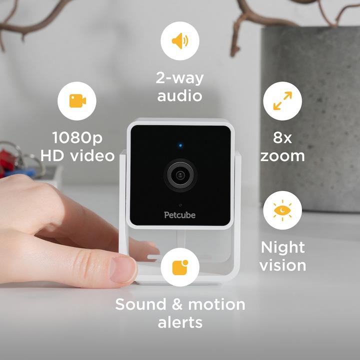 Actual product image Petcube Pet Camera (Catmint toy)