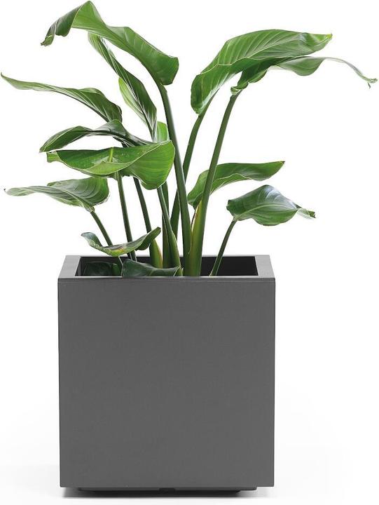 Productafbeelding Euro3plast Planter (39.50 cm)