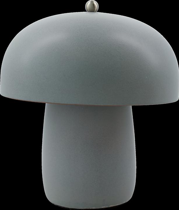 Image du produit Xiaomi Lampe de table, HDMoss, Gris (E27)