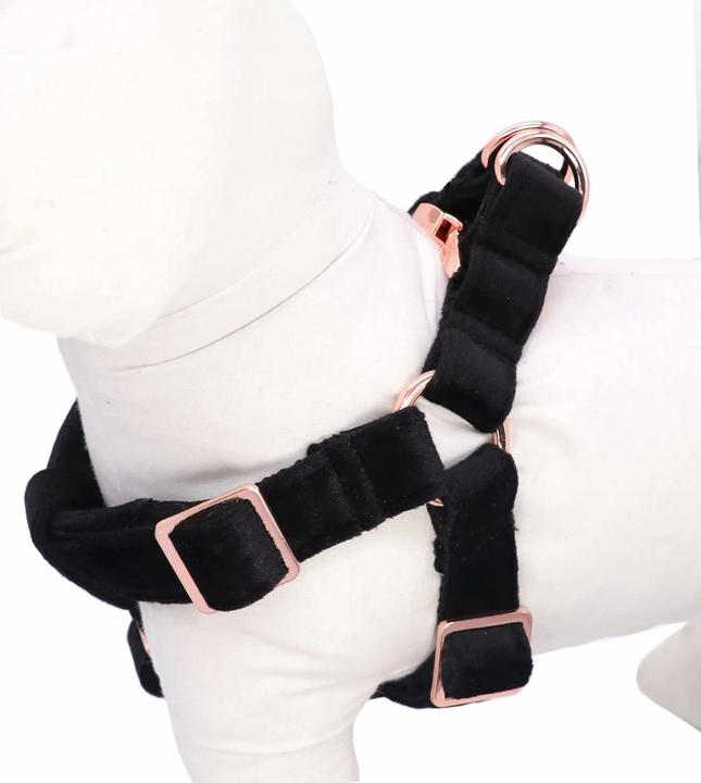 Produktbild Aring Pet Verstellbares Hundegeschirr (Hund)