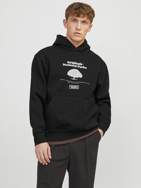 Actual product image Jack & Jones Jorurban Edge Graphic Sweat Hood Ln (XS)