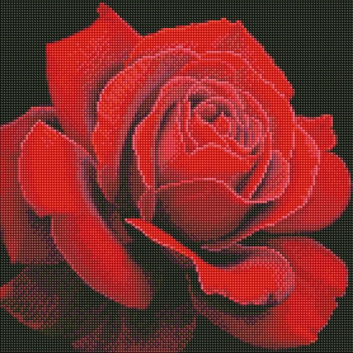 Actual product image Ideyka Diamond Painting - Red rose with frame 40 x 40 cm