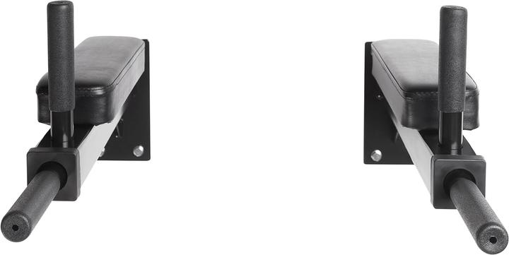 Actual product image Bad Company Dip station