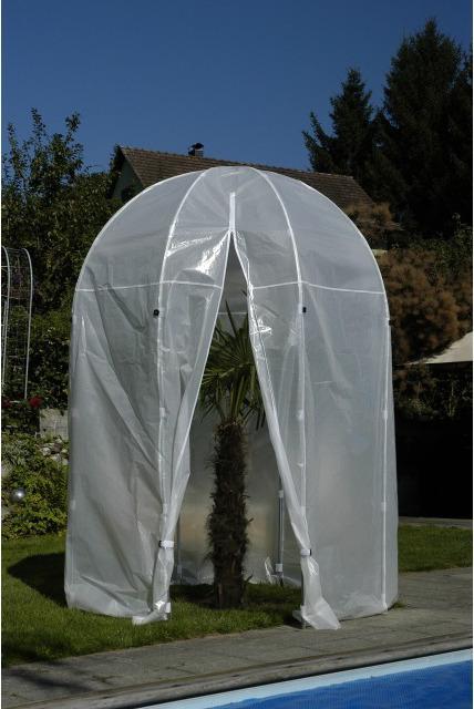 Produktbild Colibri Palmenhaus