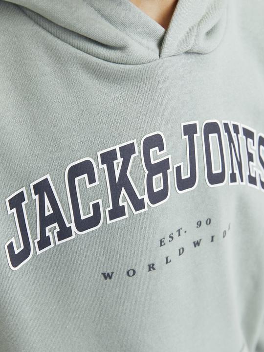 Image du produit Jack & Jones Jjecaleb Varsity Sweat Hood Noos Jnr (152)
