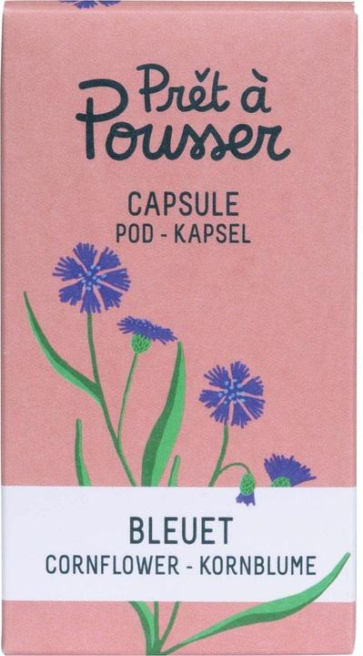 Prêt à Pousser Seme di fiordaliso (Semi di fiori)