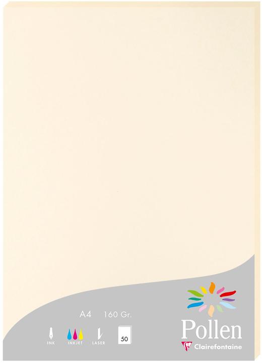 Image du produit Pollen Papier (160 g/m², A4)