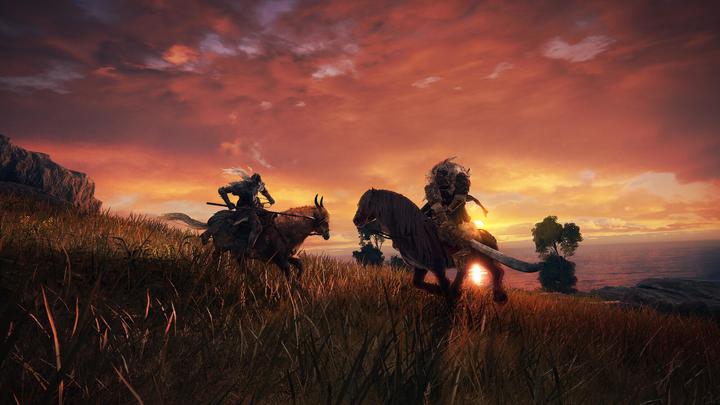 Immagine prodotto Bandai Namco Anello di Elden (PS4, DE)