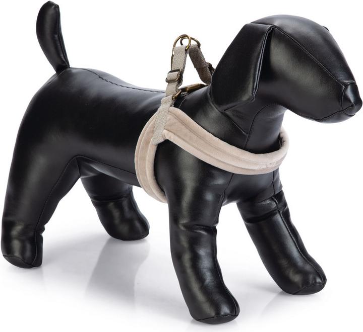 Designed by Lotte Velura (XS, Hund, Spazieren)