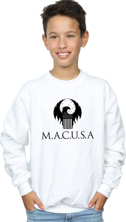 Actual product image Fantastic Beasts Boys MACUSA Logo Sweatshirt (116)