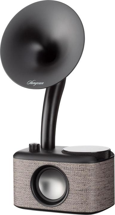 Image du produit Sangean CP 100D (DAB+ DAB, FM, Bluetooth)