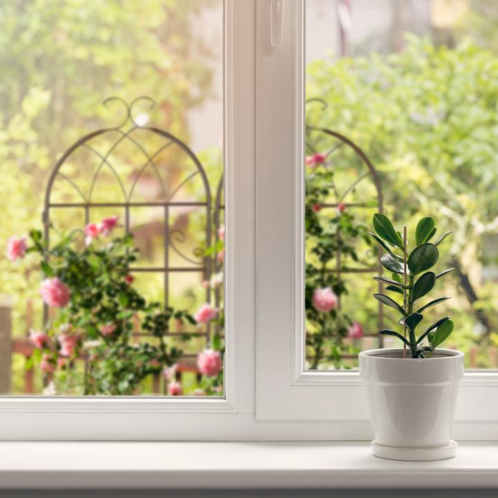 Actual product image Relaxdays 2x trellis (2 cm, 50 cm)