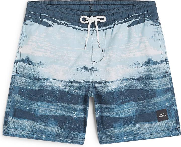 O'Neill Cali Gradient 14" Swimshorts
