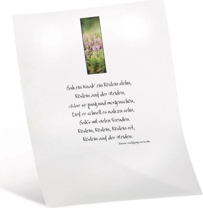 Produktbild Folia Transparentpapier (115 g/m², 10 x)
