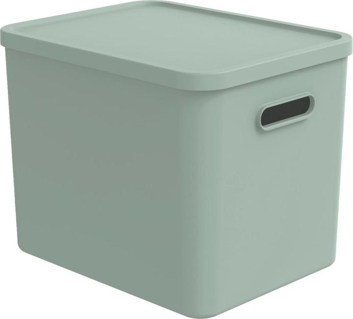 Actual product image Rotho Babydesign Spielzeugbox KAYO L Sage Green