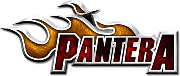 Actual product image Pantera Flame Logo Badge
