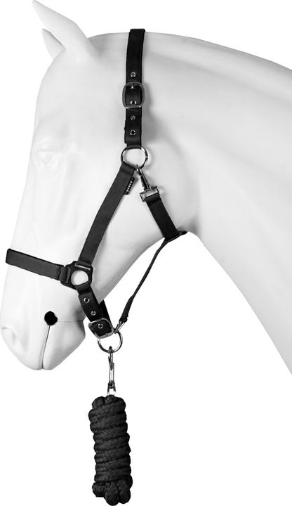 Horka Set Halfter für Pferd dime
