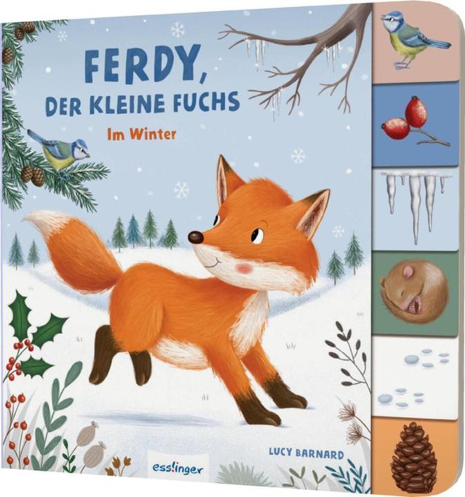 Produktbild Mein erstes Jahreszeitenbuch: Ferdy, der kleine Fuchs (Deutsch)