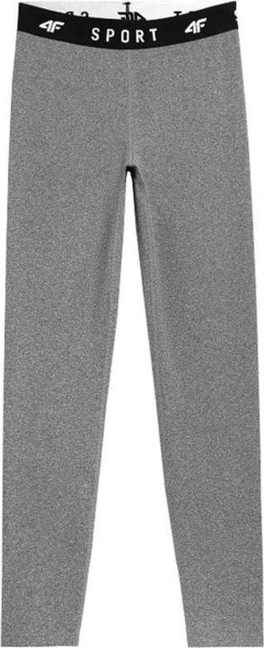 Actual product image 4F Spodnie damskie H4L22-SPDF351 szare r. M (M)