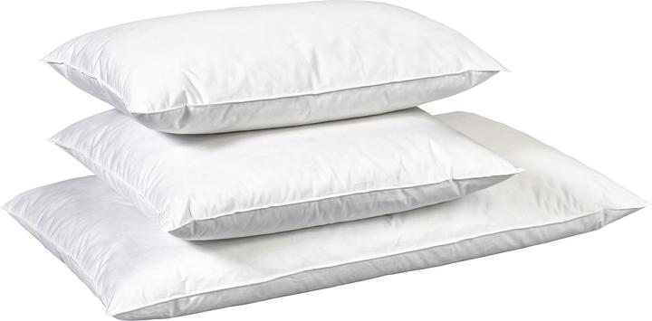 Actual product image Billerbeck Edition Madlen (65 x 100 cm)