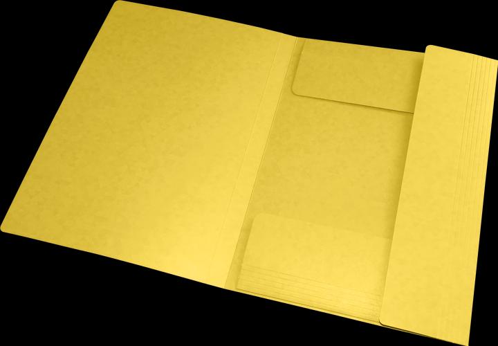 Immagine prodotto Oxford Raccoglitore angolare TOP FILE+, A4 (A4, 1 x)