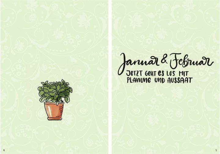 Actual product image Mein Kräuter-Jahr - Das informative Bullet Journal - Monat für Monat (German, Diana Meier-Soriat, 2025)