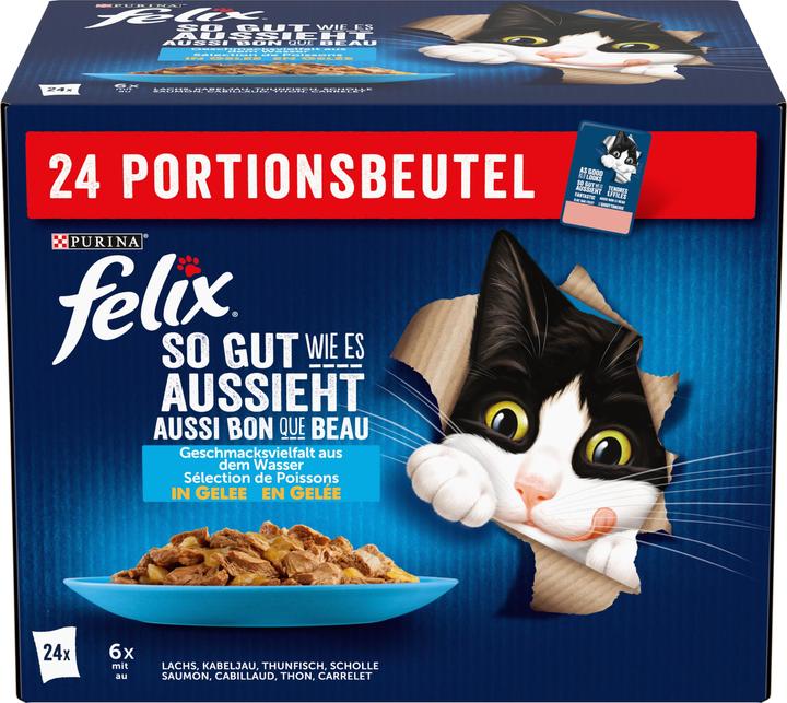 Felix Per quanto possa sembrare buono, la diversità dei pesci (Adulto, 24 pz., 2040 g)
