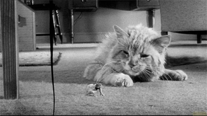 Produktbild Plaion Die unglaubliche Geschichte des Mr. C (Blu-ray, 1957, Deutsch, Englisch)