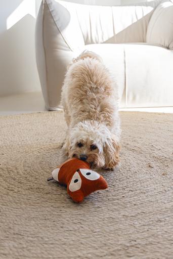 Image du produit Designed by Lotte vido de renard (Jouet en peluche chien)