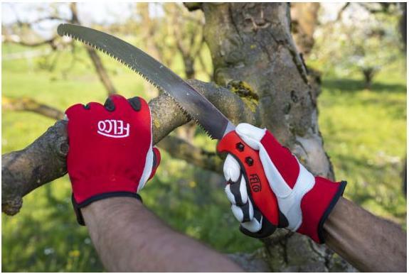Actual product image Felco Work gloves (M)