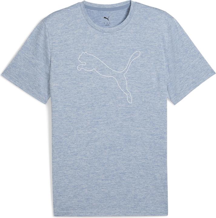 Cool Blue Heather