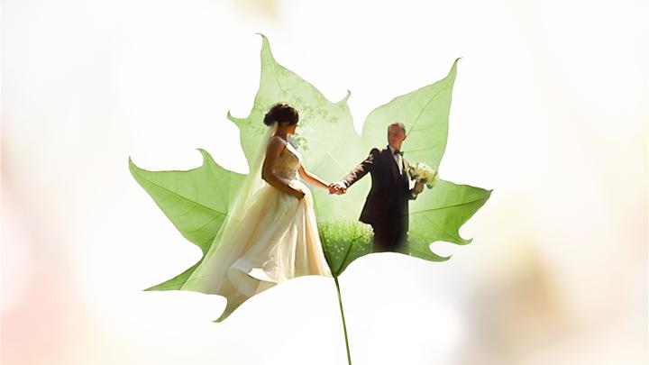 Image du produit Adobe Photoshop & Premiere Elements 2021 (1 Utilisateur, Illimité)