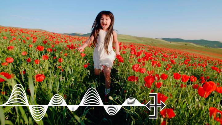 Image du produit Adobe Photoshop & Premiere Elements 2021 (1 Utilisateur, Illimité)