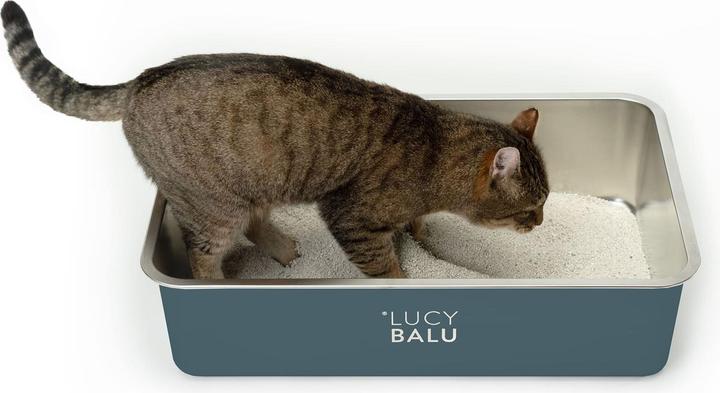 LucyBalu Steeloo (Katzenklo offen)