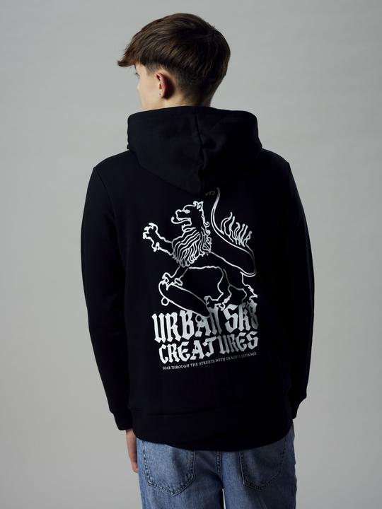 Immagine prodotto Lmtd Loose Fit Hoodie (146)