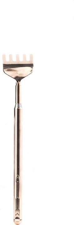 Actual product image Kikkerland Back Scratcher