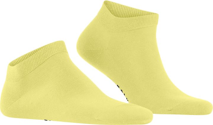 Actual product image Falke ClimaWool Herren (43 - 44)