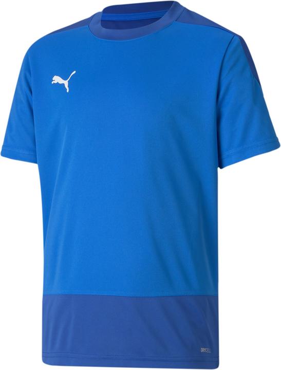 Puma teamGOAL 23 TRG Jersey Jr-656569 (176)